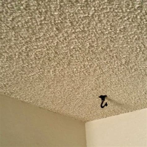 Textured Ceiling Removal 的图像结果