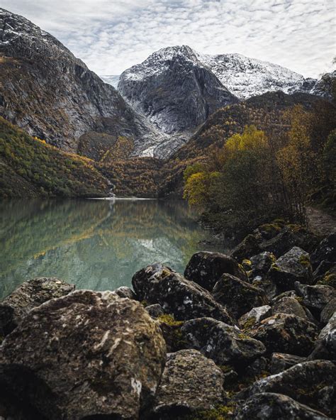 Birding with an E‑M10 Mark IV + Oly 100-400 : r/M43