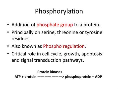 Most Common Post Translation Modification of Protein 的图像结果
