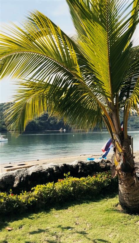 ISLA CHIQUITA GLAMPING HOTEL (Isla Jesusita) - Campground Reviews ...