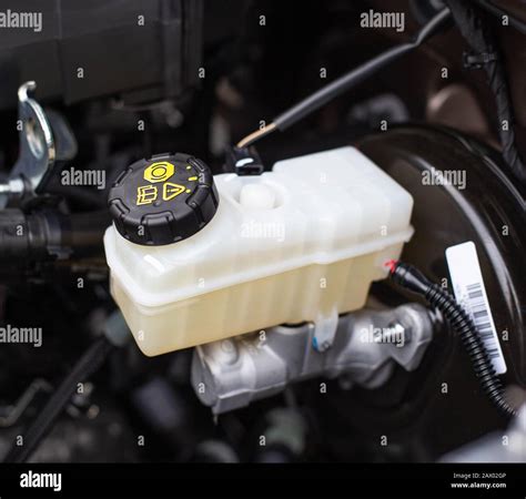 Fluid In Reservoir at Tammy Jackson blog