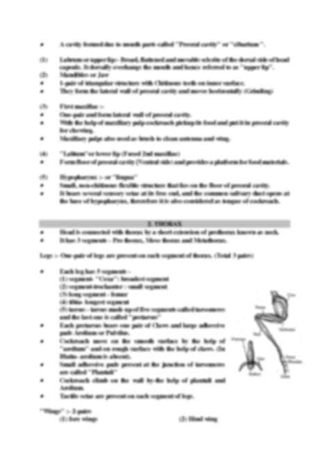 Image result for Cockroach Class 12