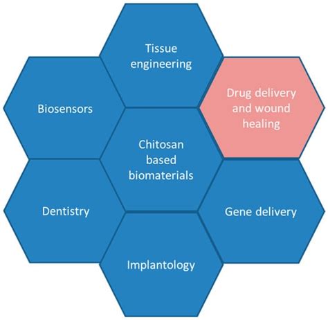 Chitosan–Clay Mineral Nanocomposites with Antibacterial Activity for ...