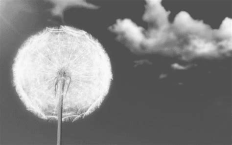 Image result for Script Element in JavaScript