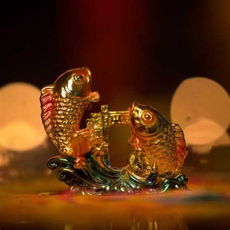 Buy Feng Shui Two Arowana Fish - Online in India - My Pooja Box