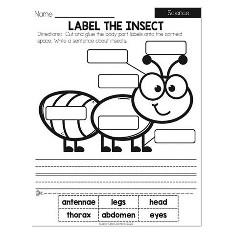 Science for First Graders 的图像结果