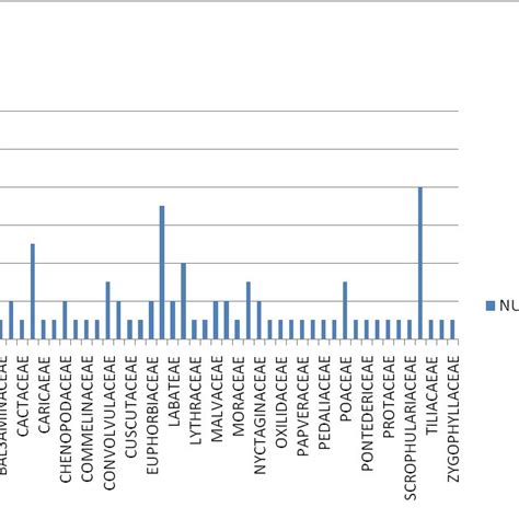 Alien in Jharkhand 的图像结果