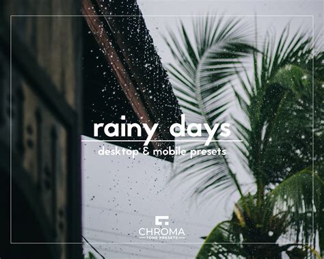 10 Rainy Days Lightroom Presets | Desktop and Mobile | Moody Presets ...
