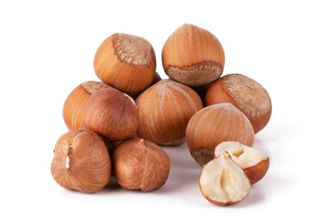 Image result for Empty Hazelnut Shell