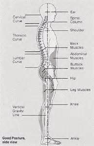 Body Alignment Test 的图像结果