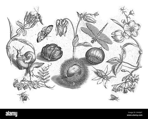 Print from a series of 48 prints, divided into four separate parts of ...