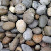 cobbles pebbles Manufacturers, Suppliers, Price List