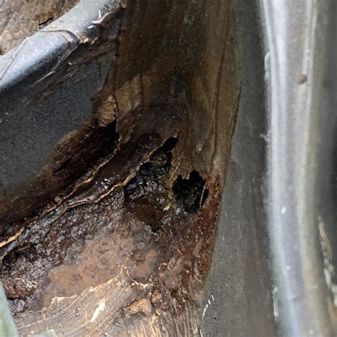 Leaking like a sieve | Mercedes-Benz Forum