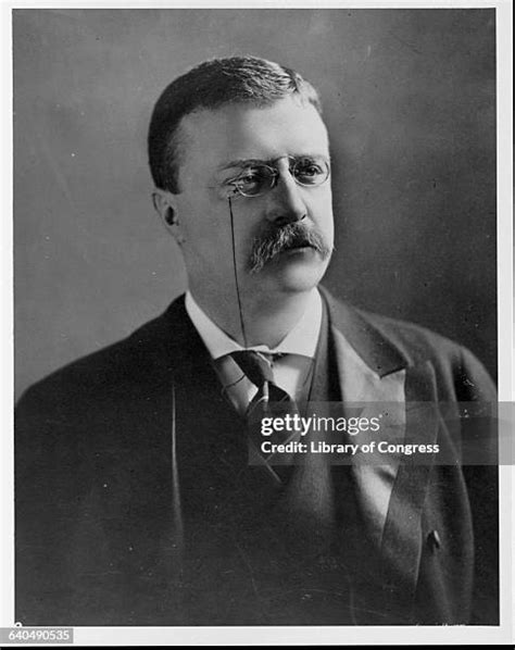 Teddy Roosevelt 的图像结果