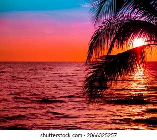 Image result for Sunset Climb O2