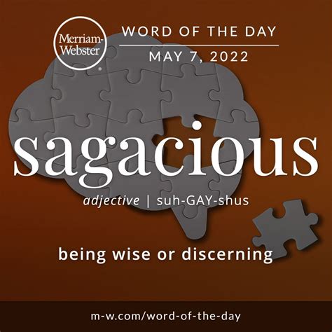 Sentence Using The Word Sagacious at Hayley Stokes blog