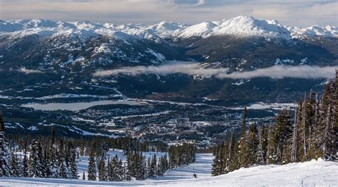 Whistler Programming Software 的图像结果