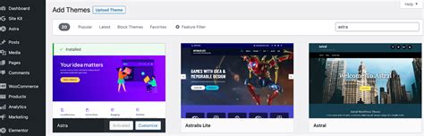 Image result for WordPress Astra Theme Tutorial