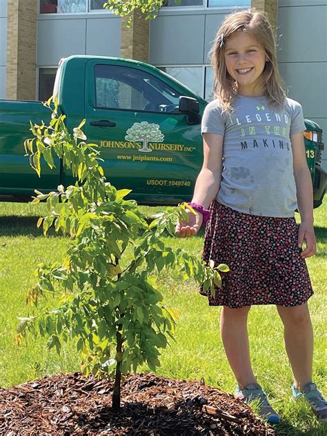Image result for Community Tree-Planting