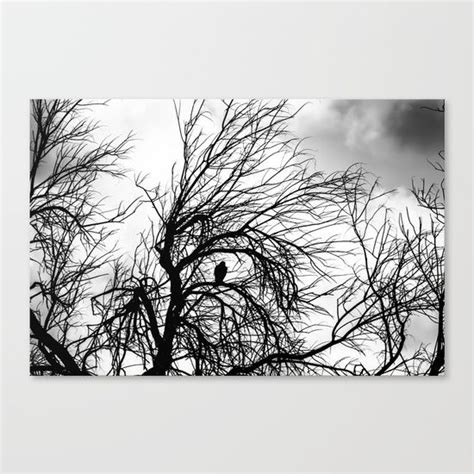 Giant Hawk in Tree
