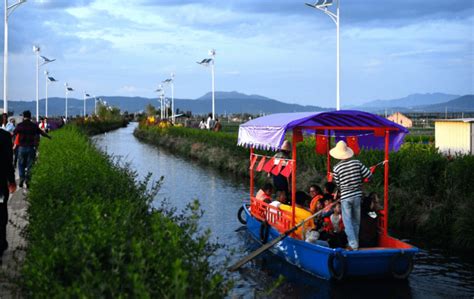 云南通海县,旅游景点,蔬菜_大山谷图库