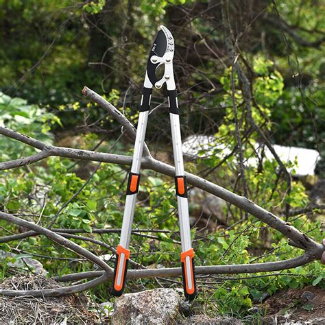 Buy Tree Branch Lopper Telescopic Shears Cutter Outdoor Garden Pruning ...