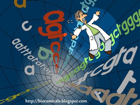 Image result for Contoh Web Sederhana HTML/Java