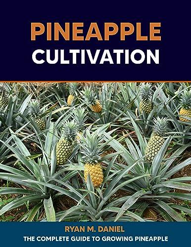 Pineapple Cultivation: The Complete Guide to Growing Pineapple eBook ...