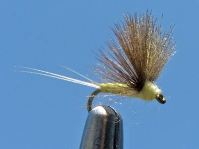Image result for PMD Fly Pattern