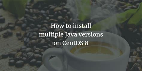 Manage Multiple Java Versions CentOS 的图像结果