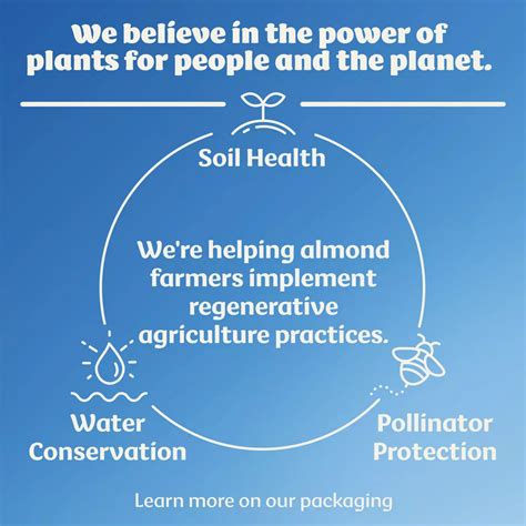 Silk Dairy Free Almond Milk Coffee Creamer - Vanilla - Shop Coffee ...