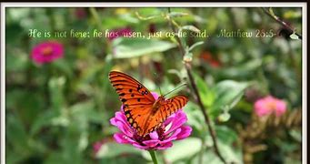 Image result for Happy Easter Butterfly