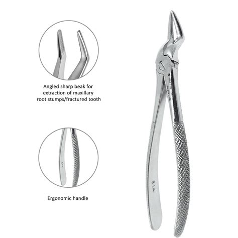 Waldent Tooth Extraction Forceps Upper Roots No.51A (1/106) – Waldent.com