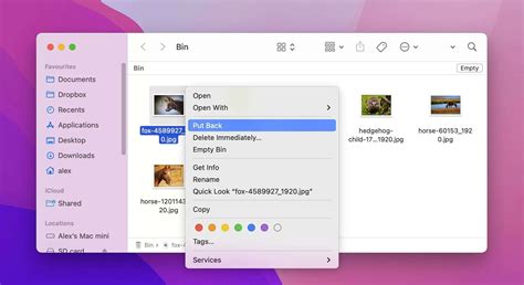 The Ultimate Guide: How to Recover Photos on Any Device