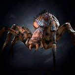 Larger Giant Spider - bg3.wiki