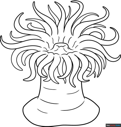 How to Draw a Sea Anemone - Really Easy Drawing Tutorial