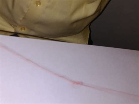 Image result for String Paint