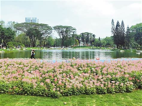 新快报-22年历史的黄埔公园焕新颜 广州又多了一个打卡好去处