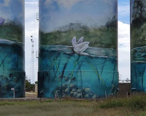 BEST Places to Visit in Yelarbon - UPDATED 2023 (with Photos & Reviews ...