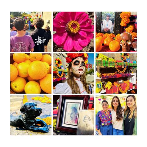 Waldorf School Orange County (@waldorfschoolorangecounty) • Instagram ...