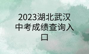 2023湖北武汉中考成绩查询入口_湖北自考网