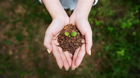 Soil conservation - ProTerra Foundation - conservation of soil