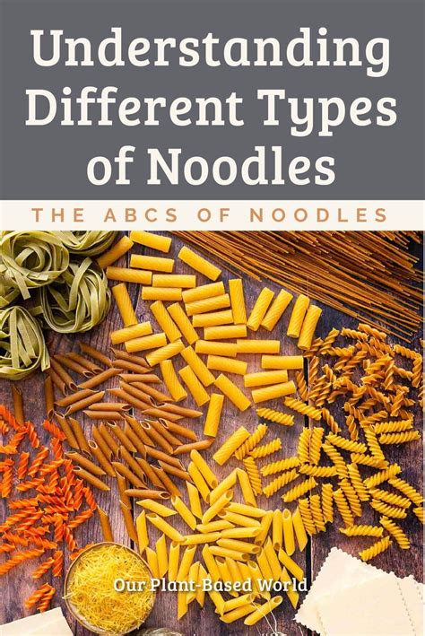 The abcs of noodles understanding different types of noodles – Artofit