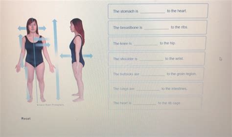 Image result for Relative Position Question