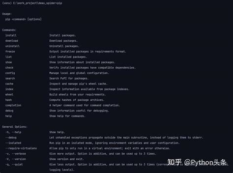 Image result for PIP Pythpm