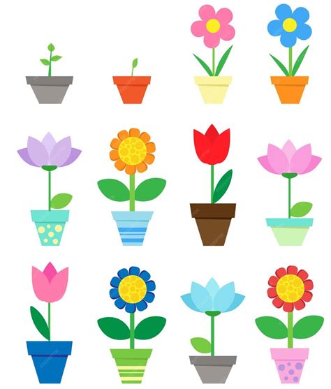 Kwiaty w doniczkach clipart | Premium Wektor