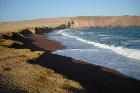 2026 Ballestas Islands and Paracas National Reserve Day Trip from ...