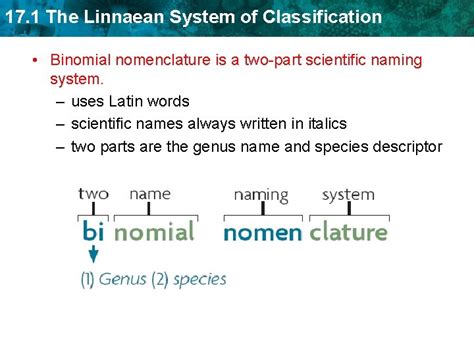 Image result for Linnaean Classification System
