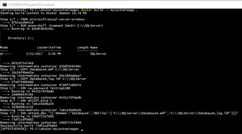 Image result for Running SQL Express On Container