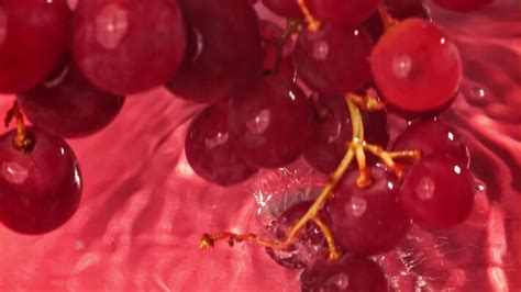 Image result for Grapefruiting Scene